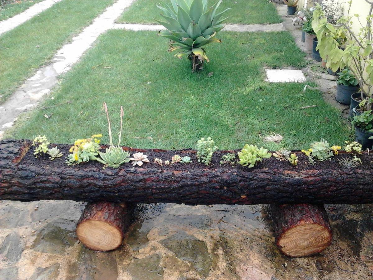Espaco Pinguim Sao Luis
